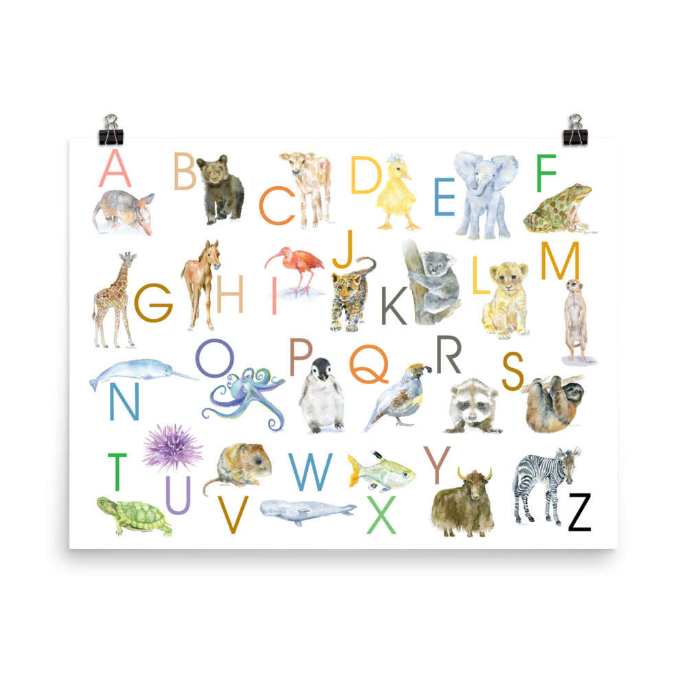 Animal Alphabet Poster 2 Watercolor - Horizontal – Susan Windsor