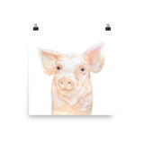 Pink Pig Watercolor