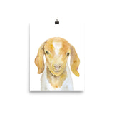 Nubian Goat Watercolor