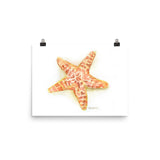 Sea Star Starfish Watercolor