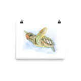 Sea Turtle Watercolor