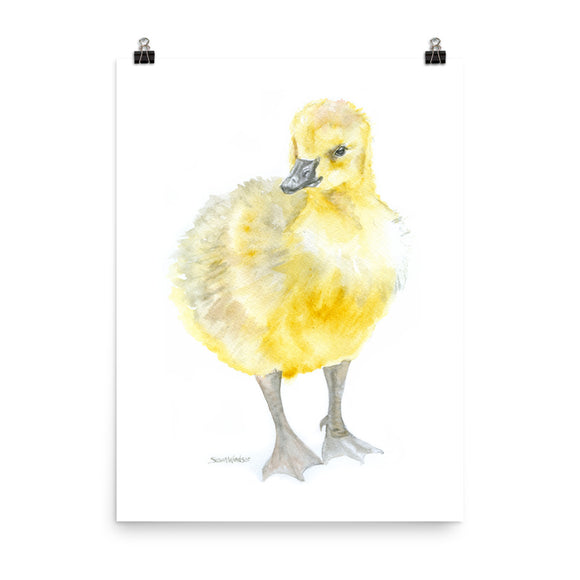 Gosling Watercolor