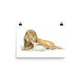Lion and the Lamb Watercolor