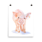 Pig Watercolor
