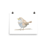 Wren Watercolor Print