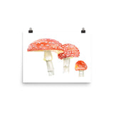 Toadstools Watercolor