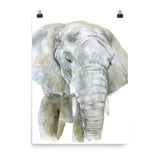 African Elephant Watercolor