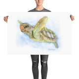 Sea Turtle Watercolor
