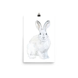 Arctic Rabbit Watercolor