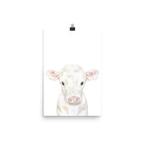 White Calf Watercolor Cow