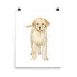 Yellow Labrador Puppy Dog Watercolor