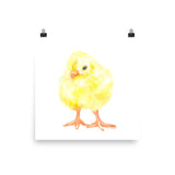 Yellow Baby Chick Watercolor Print