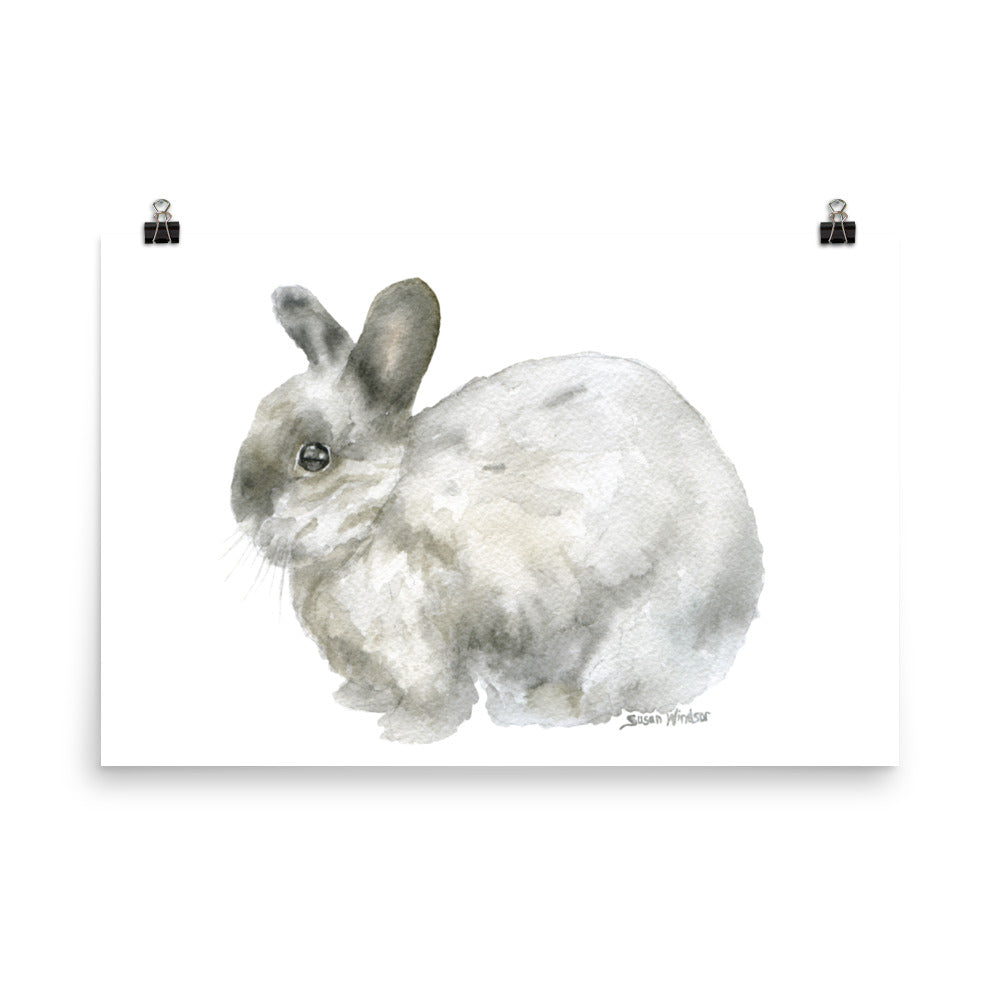水彩壁絵watercolor“The Chilling Bunny Bunny” Amazon.com: Watercolor Rabbit Wall Art Bunny with Flowers