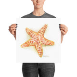 Sea Star Starfish Watercolor