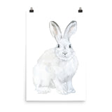 Arctic Rabbit Watercolor