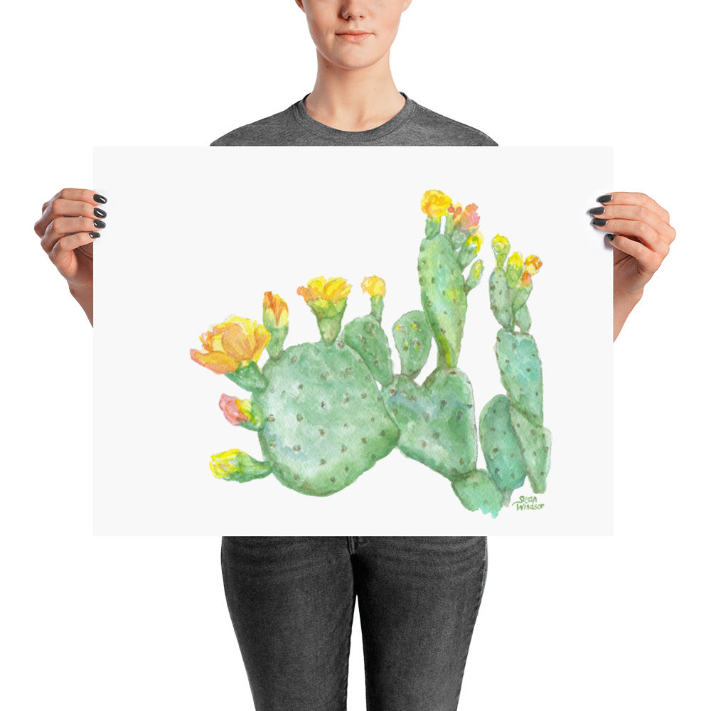 prickly pear cactus watercolor Prickly Pear Cactus Watercolor – Susan Windsor