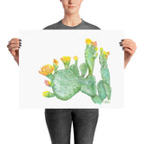 Prickly Pear Cactus Watercolor