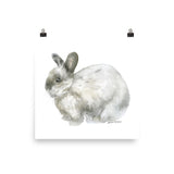 Gray Bunny Rabbit Watercolor 2