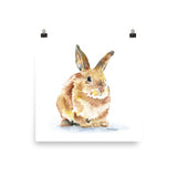 Bunny Rabbit Watercolor