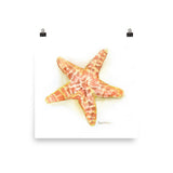 Sea Star Starfish Watercolor