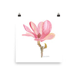 Pink Magnolia Flower Watercolor