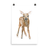 Deer Fawn 3 Watercolor