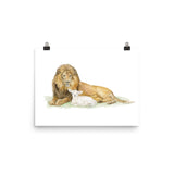 Lion and the Lamb Watercolor