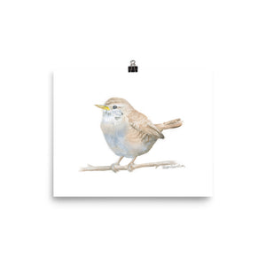 Wren Watercolor Print