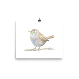 Wren Watercolor Print