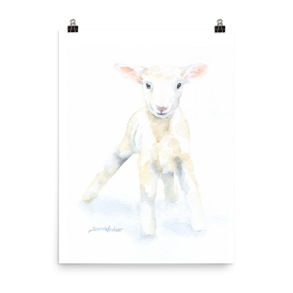 Lamb Watercolor