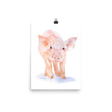 Pig Watercolor