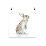Tan Bunny Rabbit Watercolor