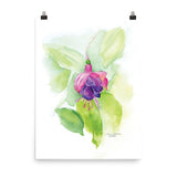 Fuchsia Watercolor Floral