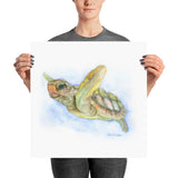 Sea Turtle Watercolor