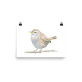 Wren Watercolor Print
