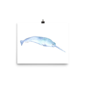 Narwhal Watercolor