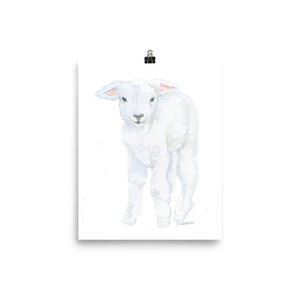 Lamb 2 Watercolor