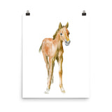 Foal Horse Watercolor Pony