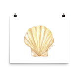Clam Seashell Watercolor Print