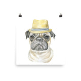 Pug with a Fedora Watercolor Painting