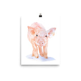 Pig Watercolor