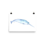 Narwhal Watercolor