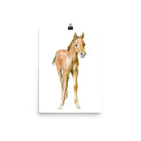 Foal Horse Watercolor Pony