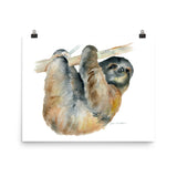Sloth Watercolor
