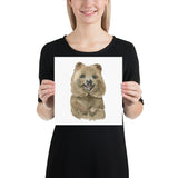 Quokka Watercolor Print - Australian Animals