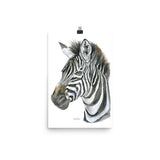Zebra Face Watercolor