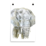 African Elephant Watercolor