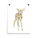 Deer Fawn Watercolor 2
