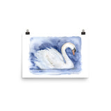 Swan Watercolor