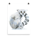 Ring-Tailed Lemur Watercolor Print